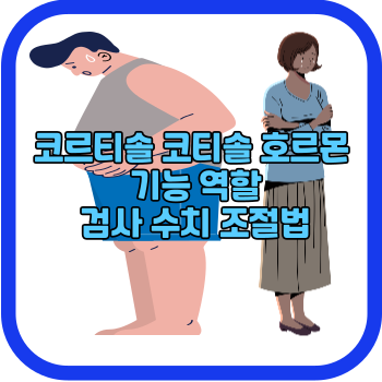 코르티솔 코티솔 호르몬 기능 역할 검사 수치 조절법