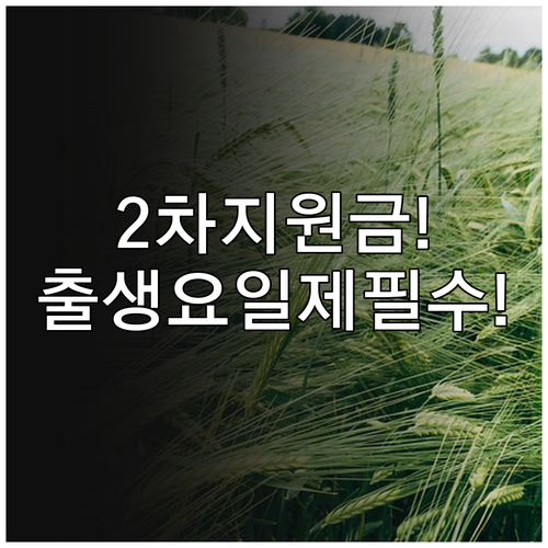 민생지원금 2차 지급 신청 기간과 출..