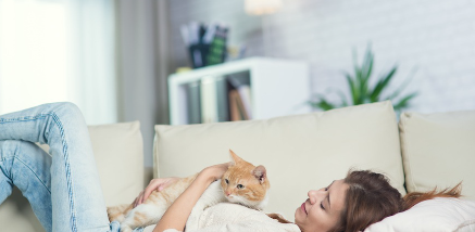 소파에서 편히 쉬는 여자와 고양이.