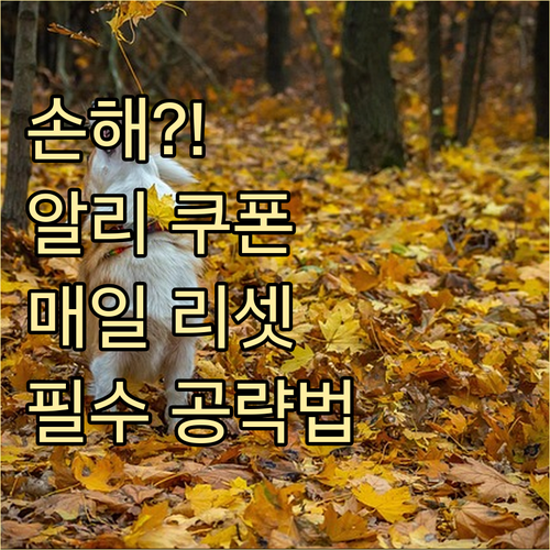 놓치면 손해! 알리익스프레스 매일 리..