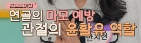 콘드로이친