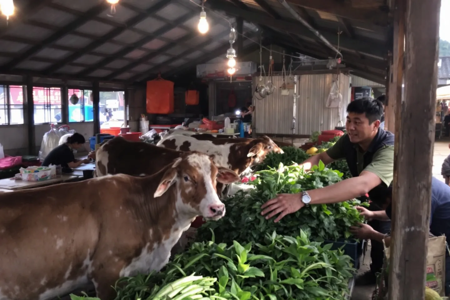 협동조합 및 경매장 활용