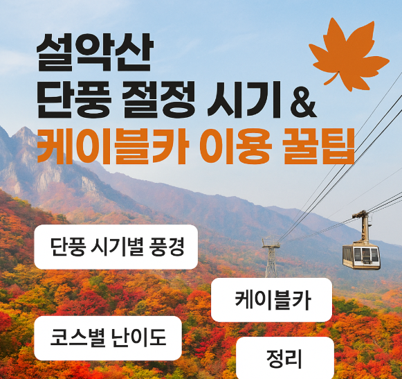설악산 단풍시기