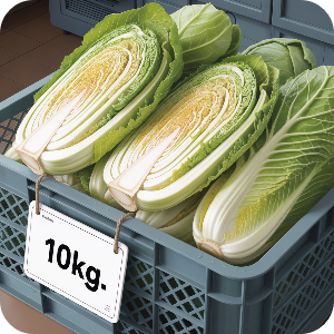 2025 해남 절임배추 10kg 이미지 