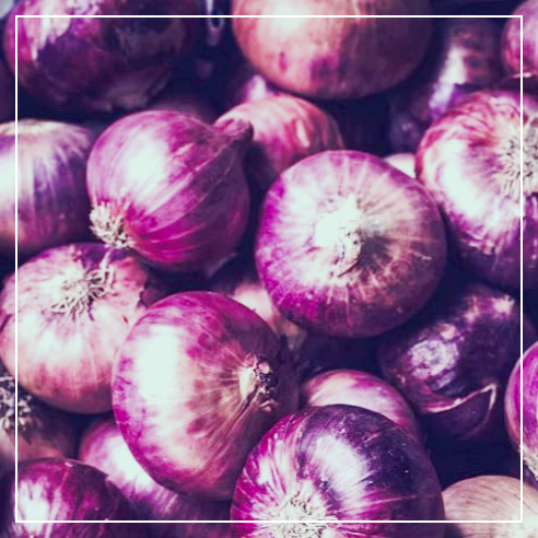 자색양파