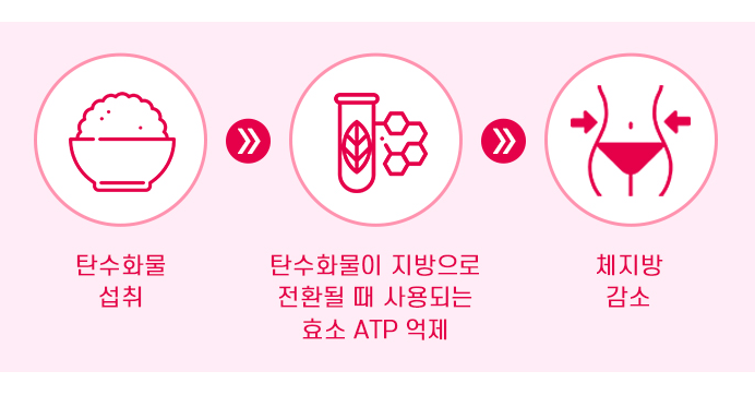 가르시니아 캄보지아5