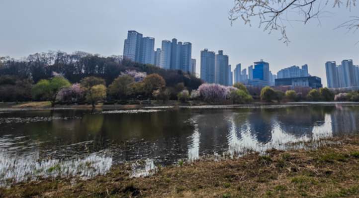 서울근교나들이