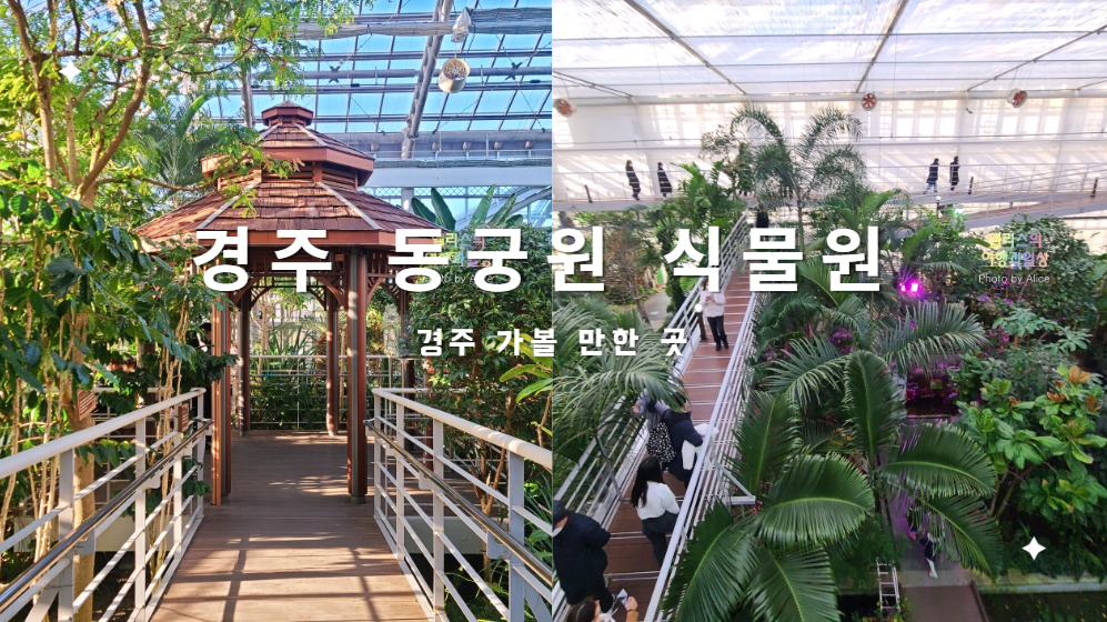 경주 동궁원 식물원 스카이워크 경주 가볼만한곳