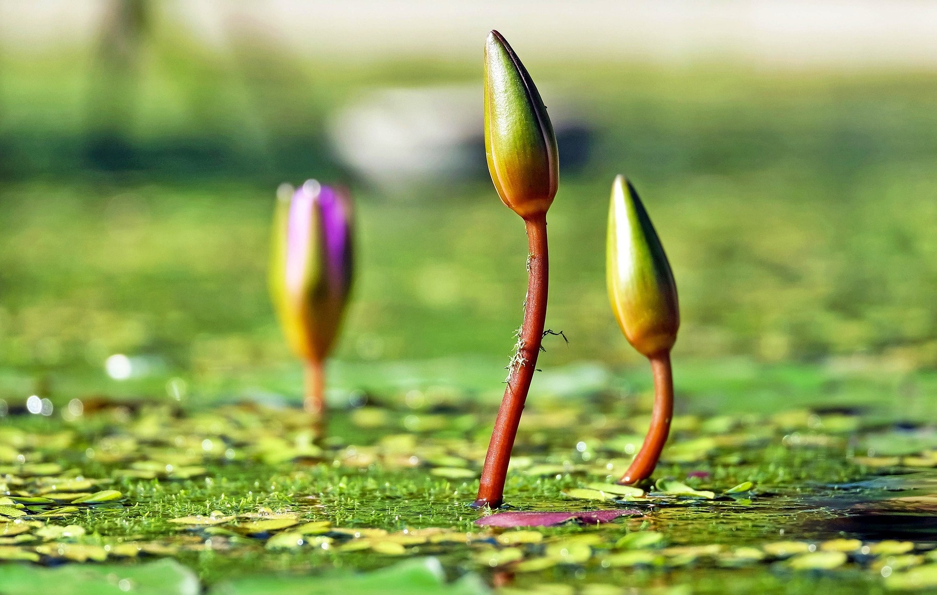 은퇴 후에도 돈 걱정 줄어드는 중년의 월수입 관리 루틴!