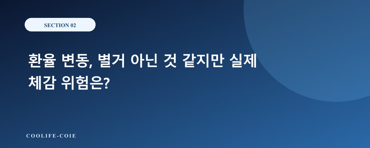 환율 변동, 별거 아닌 것 같지만 실제 체감 위험은?