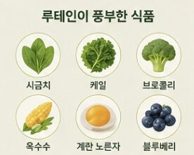 루테인 복용시간