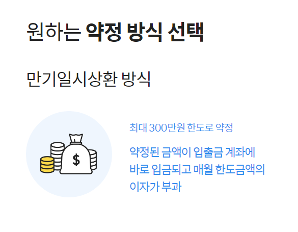 핀크 비상금대출