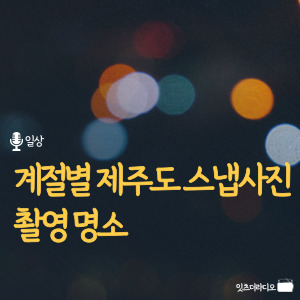 계절별 제주도 스냅사진 촬영 명소