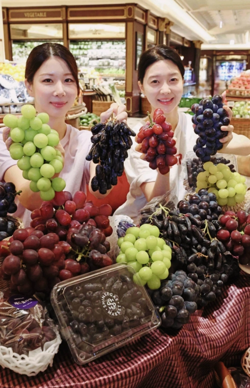 로얄바인 포도 후기, 로얄바인 명품과일 가격, 로얄바인 프리미엄 포도 구매, 로얄바인 선물세트, 프리미엄 과일 수익성 작물, 부자과일 인기순위, 고소득층 과일 추천, 신세계백화점 로얄바인, 명절 고급 과일 선물, 클럽재배 과일 뜻, 명품 과일, 프리미엄 포도, 농가 수익성 작물, 프리미엄 과일 투자, 백화점 과일 선물세트, 추석 과일 선물 추천