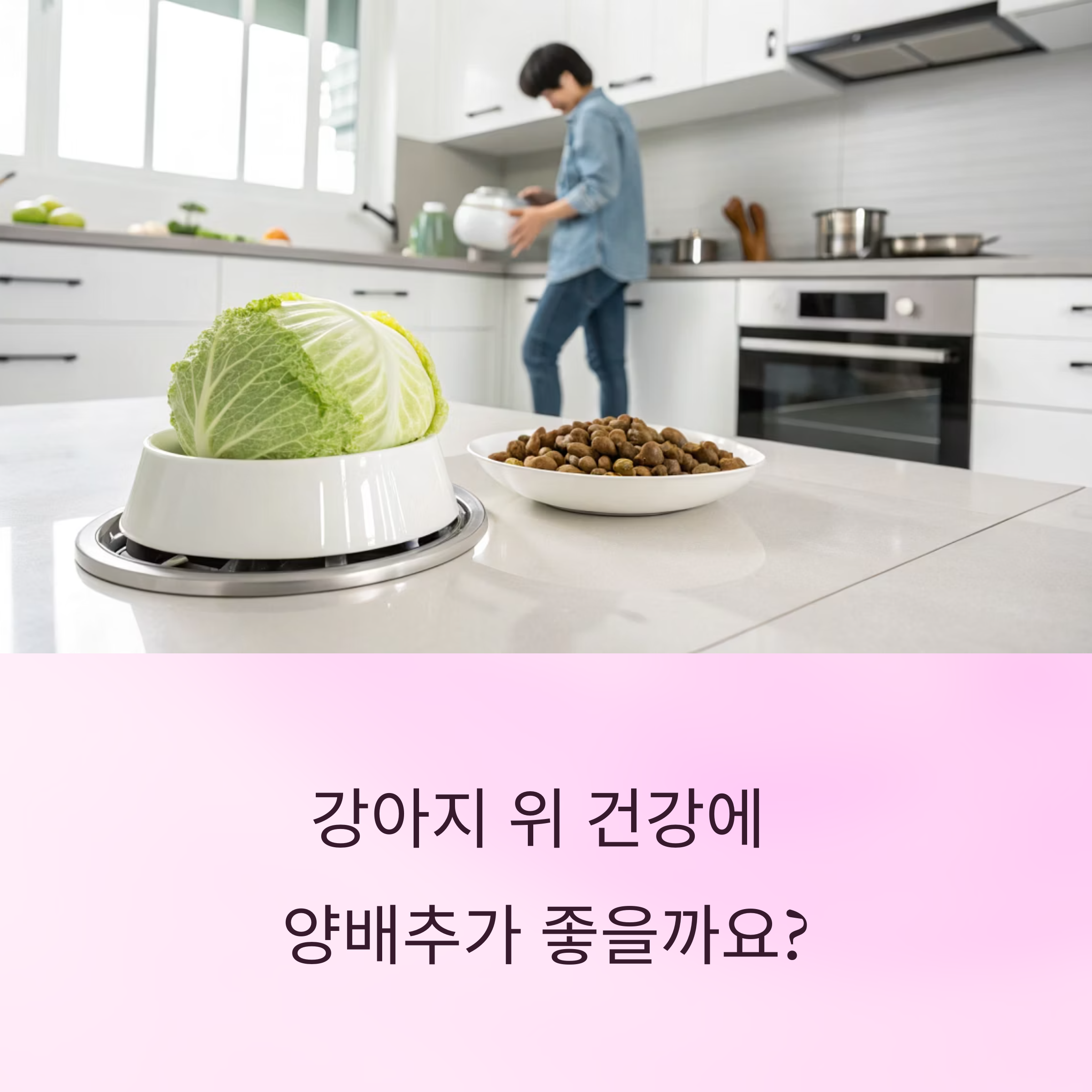 정말 강아지의 위에 좋은가요?