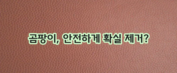 벽지 곰팡이 제거 안전하고 효과적인 방법 확실하게 알아봐요!