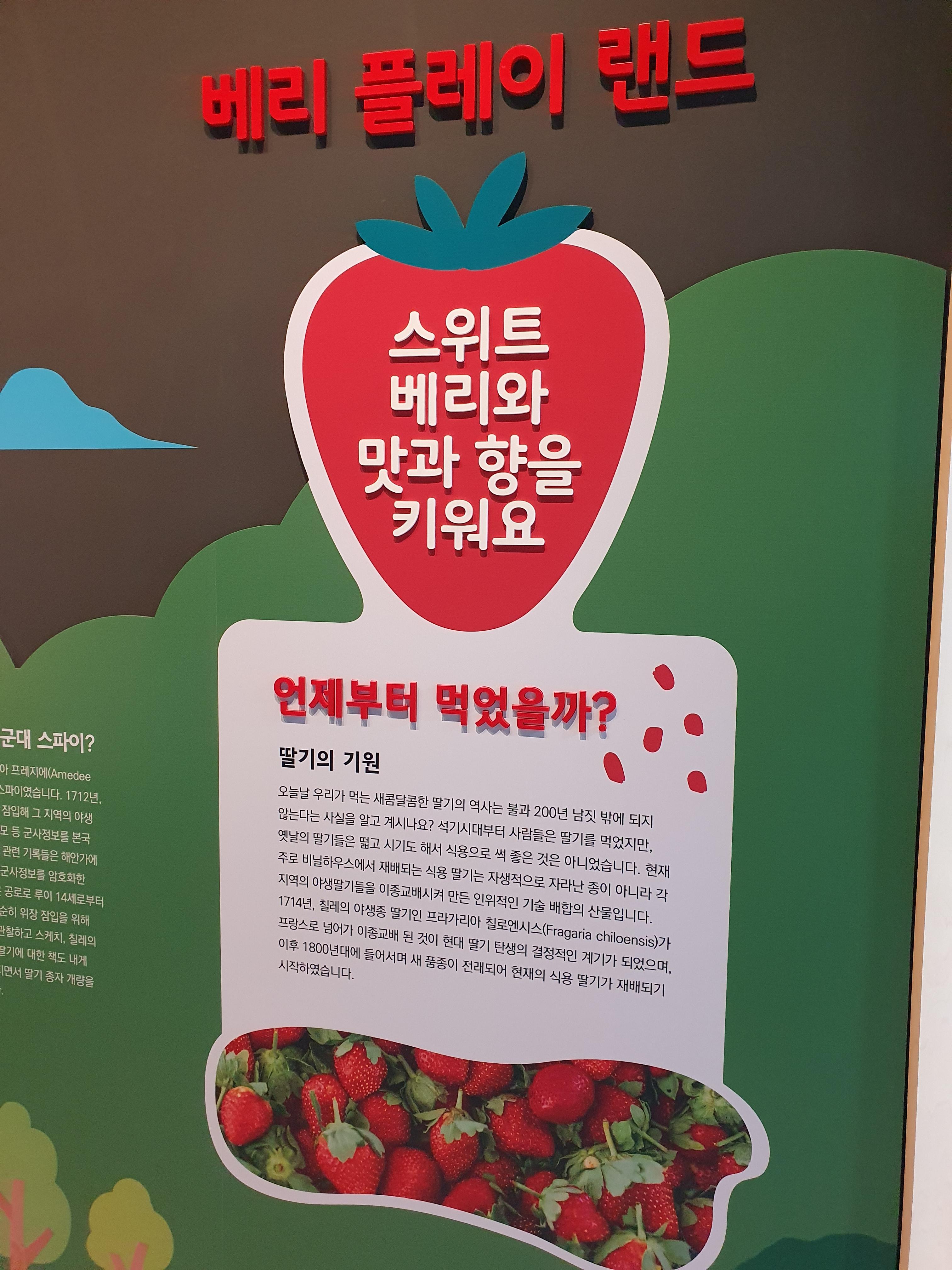 논산 딸기테마관 딸기의 역사