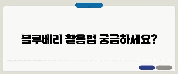 냉동 블루베리 먹는방법 다양하게