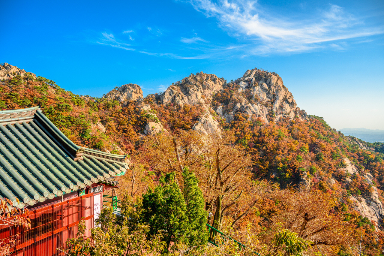 단풍 풍경