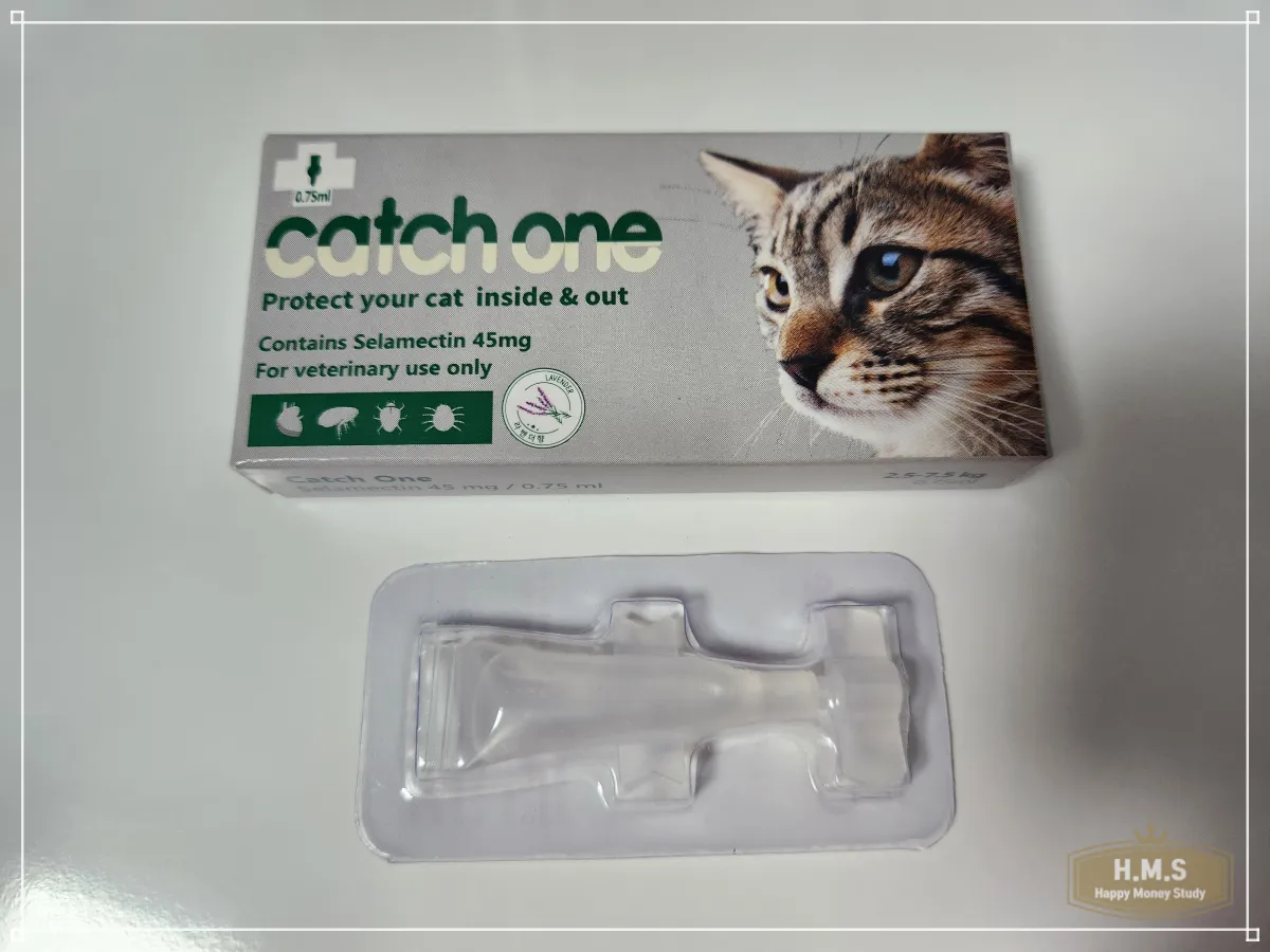 고양이-심장사상충-약-캐치원-앞면