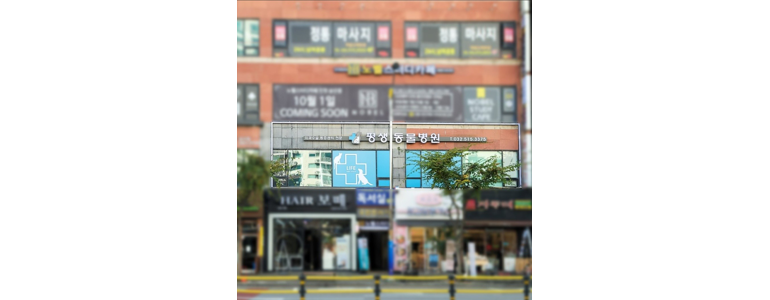 인천 부평구 동물병원