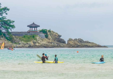 국립공원관리공단 예약