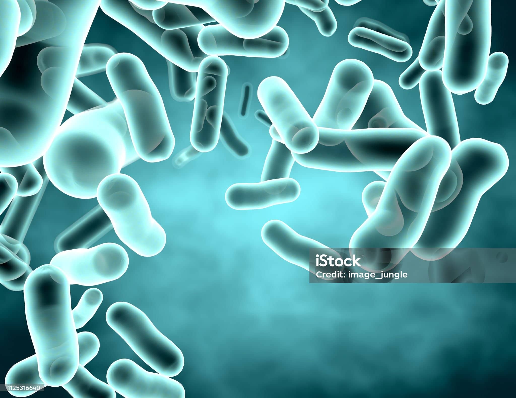장-뇌 축: 장내 미생물과 뇌 간의 상호작용