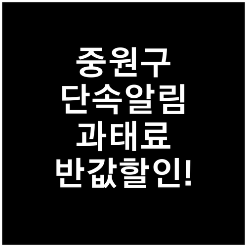 성남 중원구 불법 주정차 단속 알림 ..