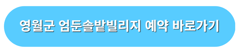 영월군 엄둔 솔밭 빌리지 예약 바로가기