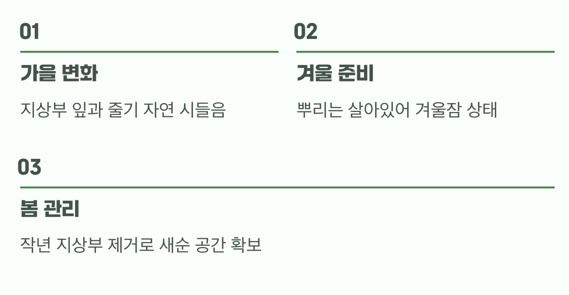 다음 해의 꽃을 위한 준비