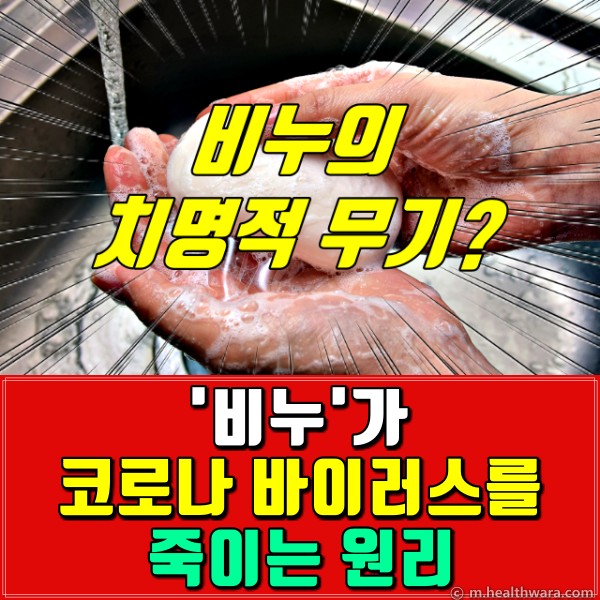 손소독제 코로나 비누,팁줌