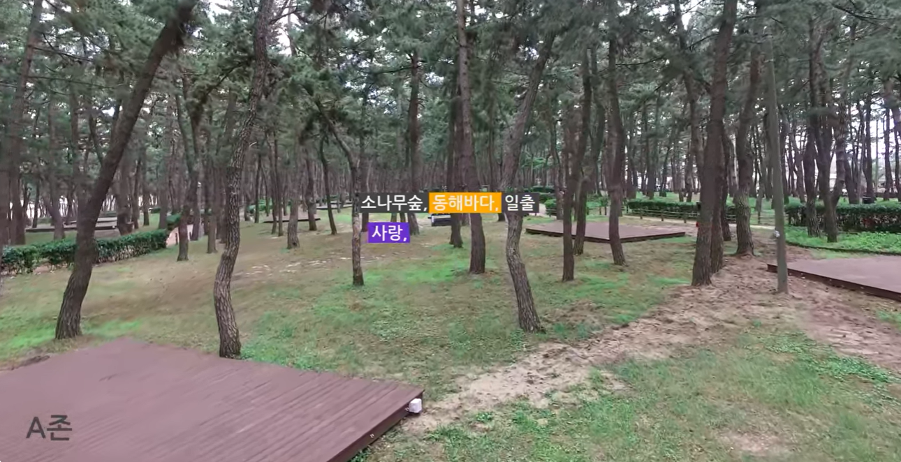 캠핑장 A존