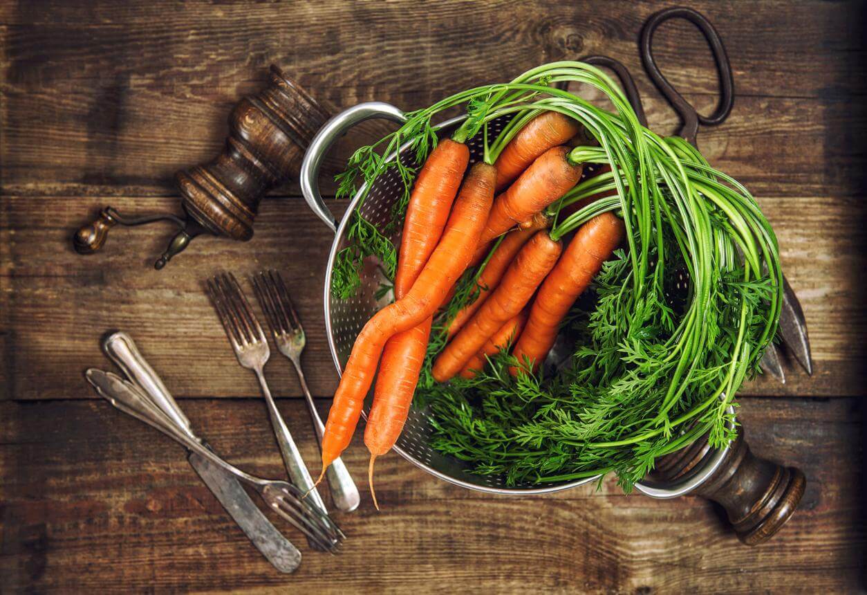 도시텃밭 당근은우리몸에덕일까손해일까?팩트체크