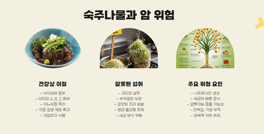 숙주나물이 암 위험과 관련?