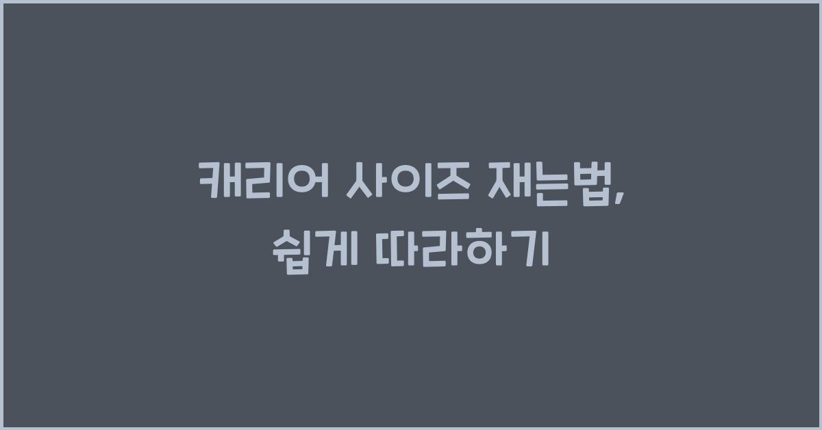 캐리어 사이즈 재는법