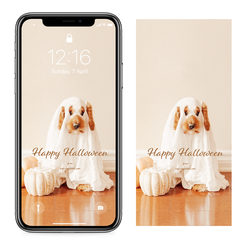 05 할로윈 강아지 C - Happy Halloween 아이폰귀여운배경화면