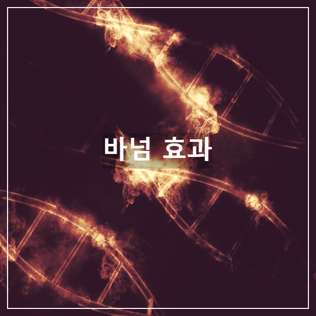 바넘 효과