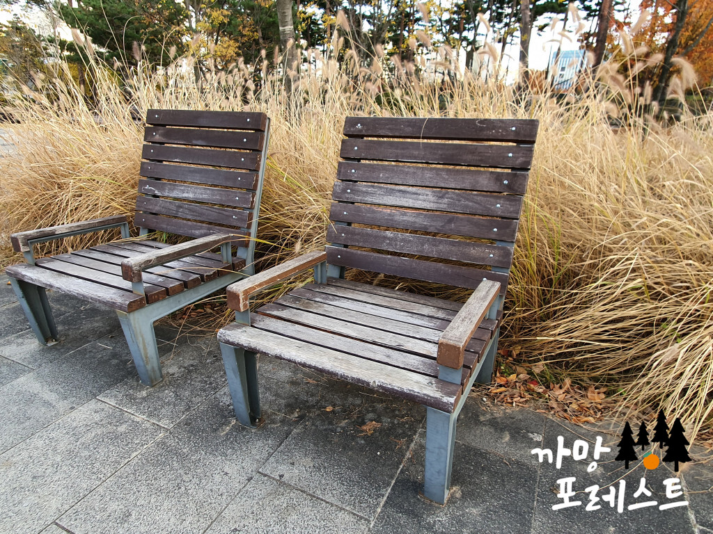 광교호수공원 산책로