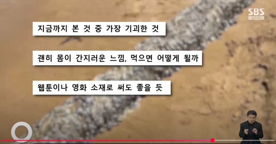 따개비 군집의 기괴한 정체