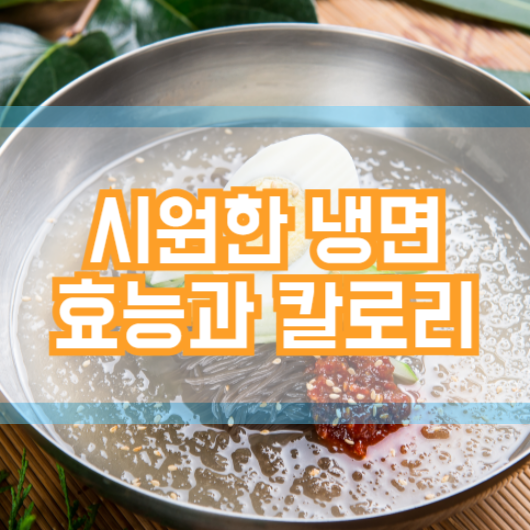 냉면 효능과 칼로리! 여름철 시원한 냉면 건강에도 좋을까!?
