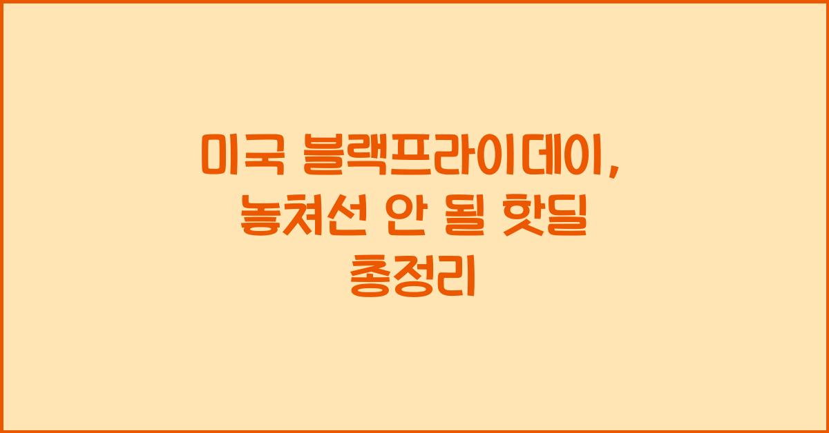 미국 블랙프라이데이