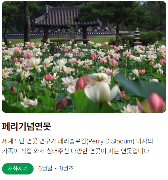 양평 세미원