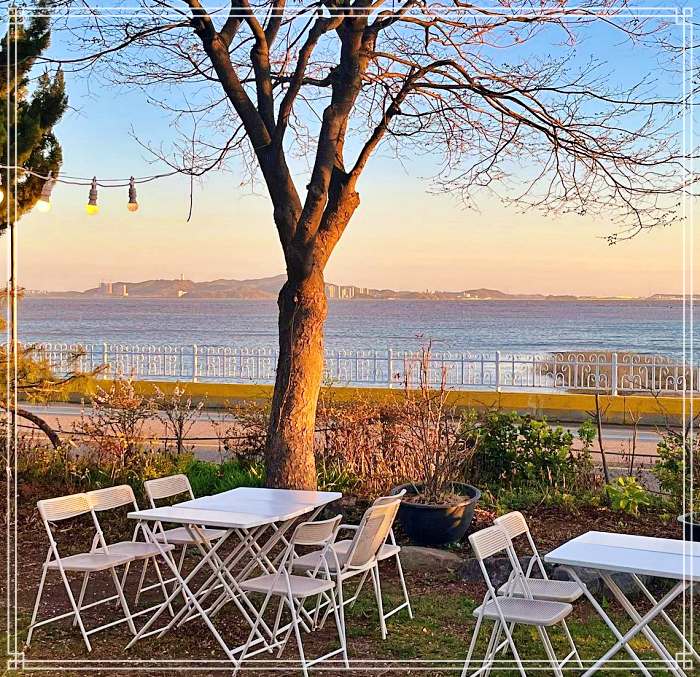 생방송투데이 서울 근교 강화 디저트 베이커리 카페 강화도 속노랑 고구마빵 맛집