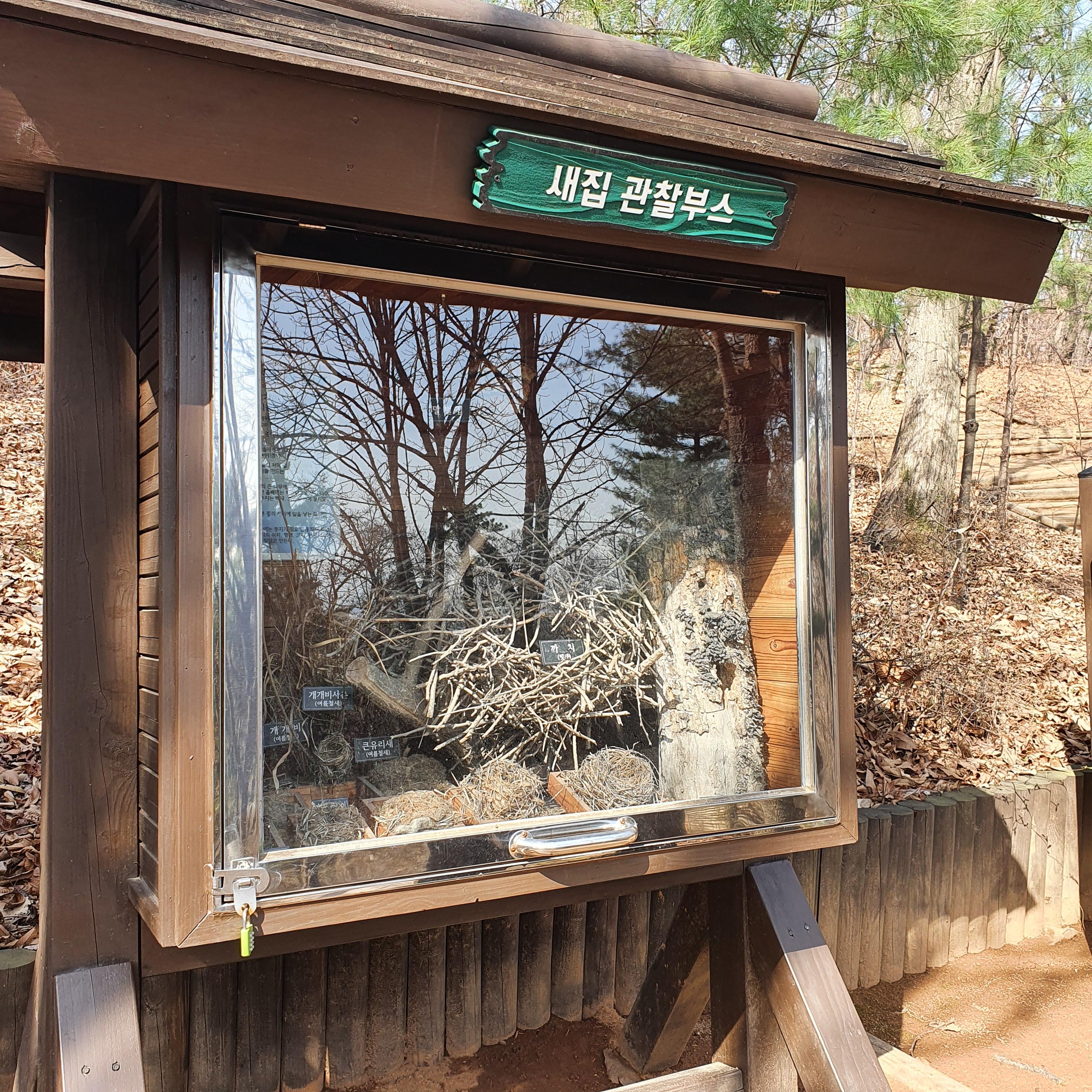 서울 둘레길 4코스를 걷다. (1) (4-1 코스) 서울 둘레길 4코스를 걷다. (1) (4-1 코스)