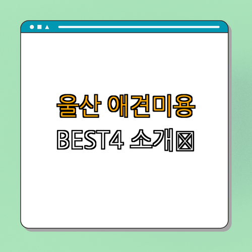 울산 울주군 애견미용 잘하는 곳 BEST4 ｜ 예약하기 ｜ 가격비교 ｜ 후기확인 ｜ 위치찾기 ｜ 이용혜택 ｜ 총정리