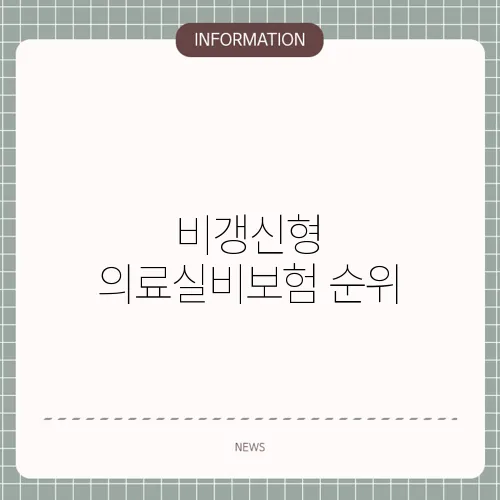 비갱신형 의료실비보험 순위