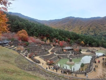 하동 삼성궁 가을 사진