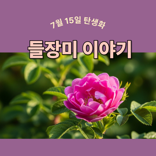 7월 15일 탄생화, 들장미 - 가시 속의 사랑을 말하다
