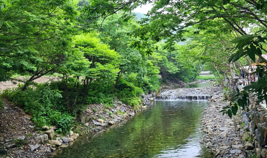 보령 성주산 계곡