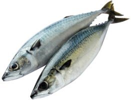 유방암에 좋은 음식